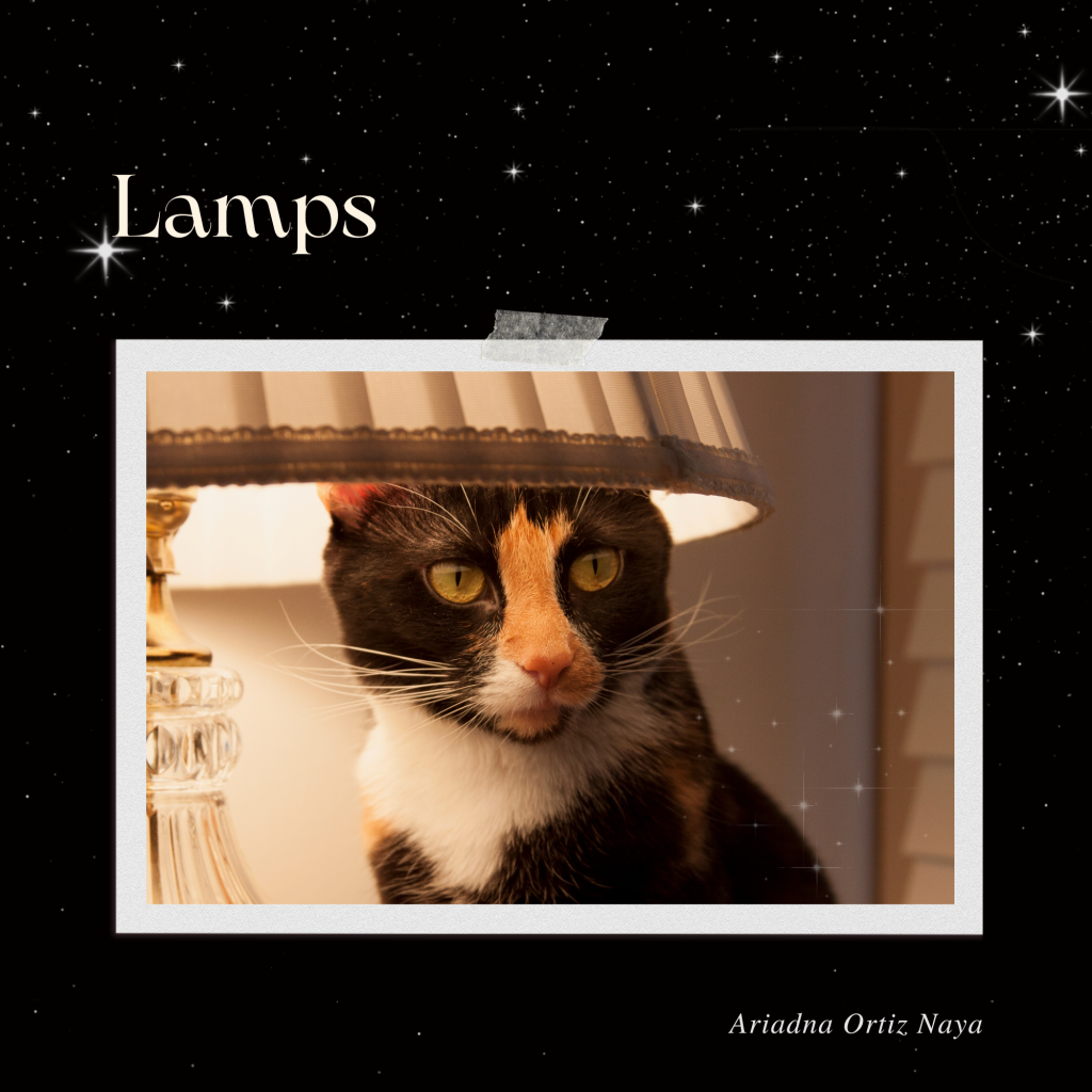Poetry Chapbook Lamps by Ariadna Ortiz Naya